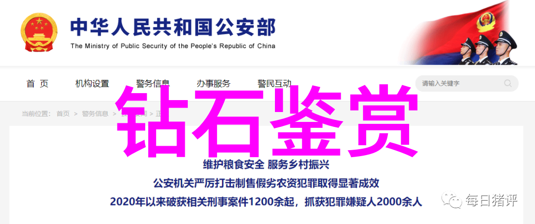 把目光投向这些往往被忽略的地方那里隐藏着许多让人惊叹的事实平凡生活中的精彩瞬间展览 玉器写真集