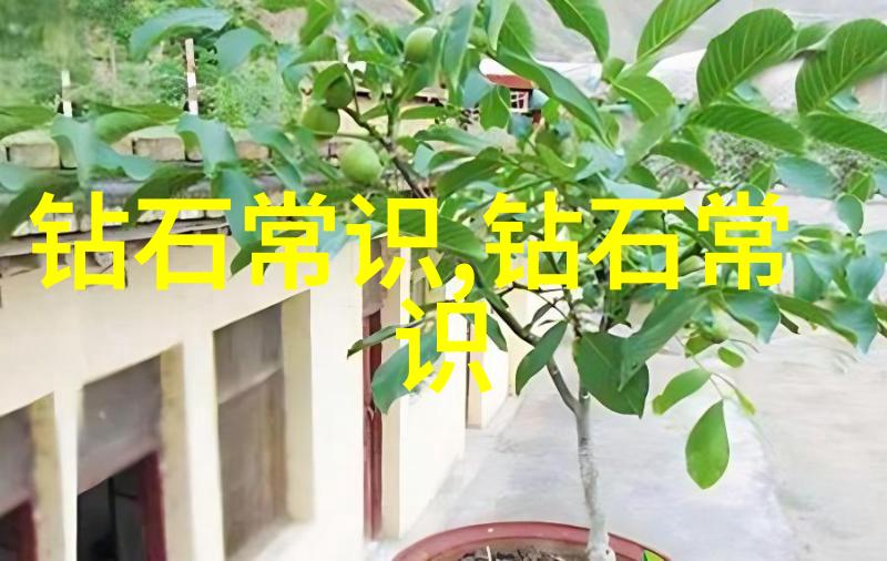 鉴赏翡翠的智慧之水一杯水如何揭示真伪