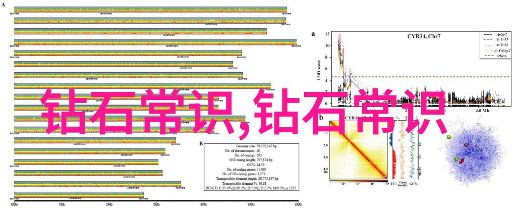 玉石价值探秘揭秘何种品质玉石最值钱