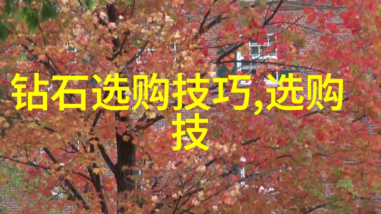 阳美春日游踪记