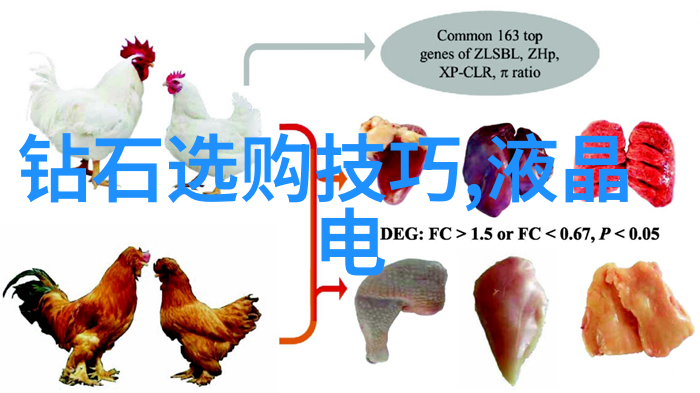 中国文化的深度探究传统与现代的交融之道中华文明的多维解析