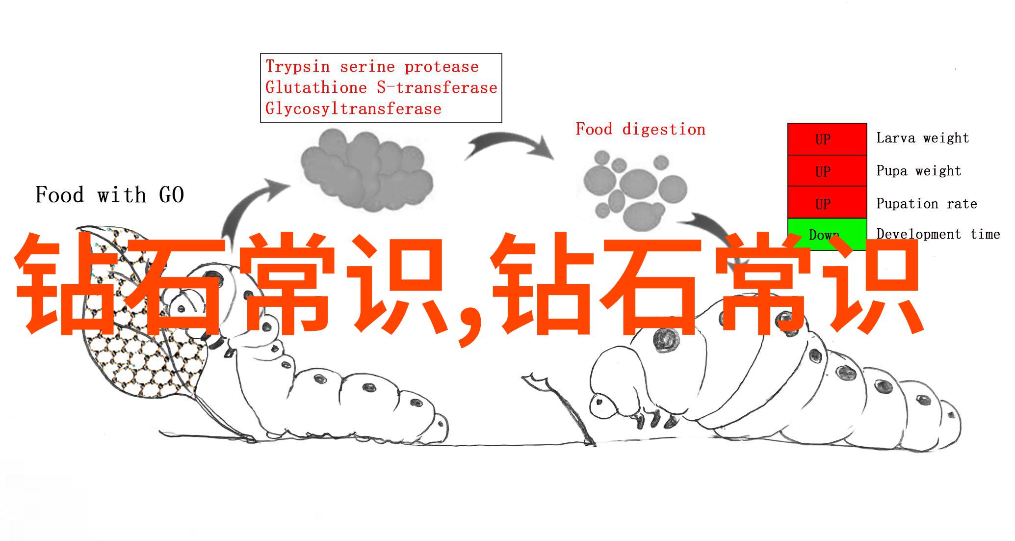 图4: 形态扁平，大孔洞分布普遍的大理珠子