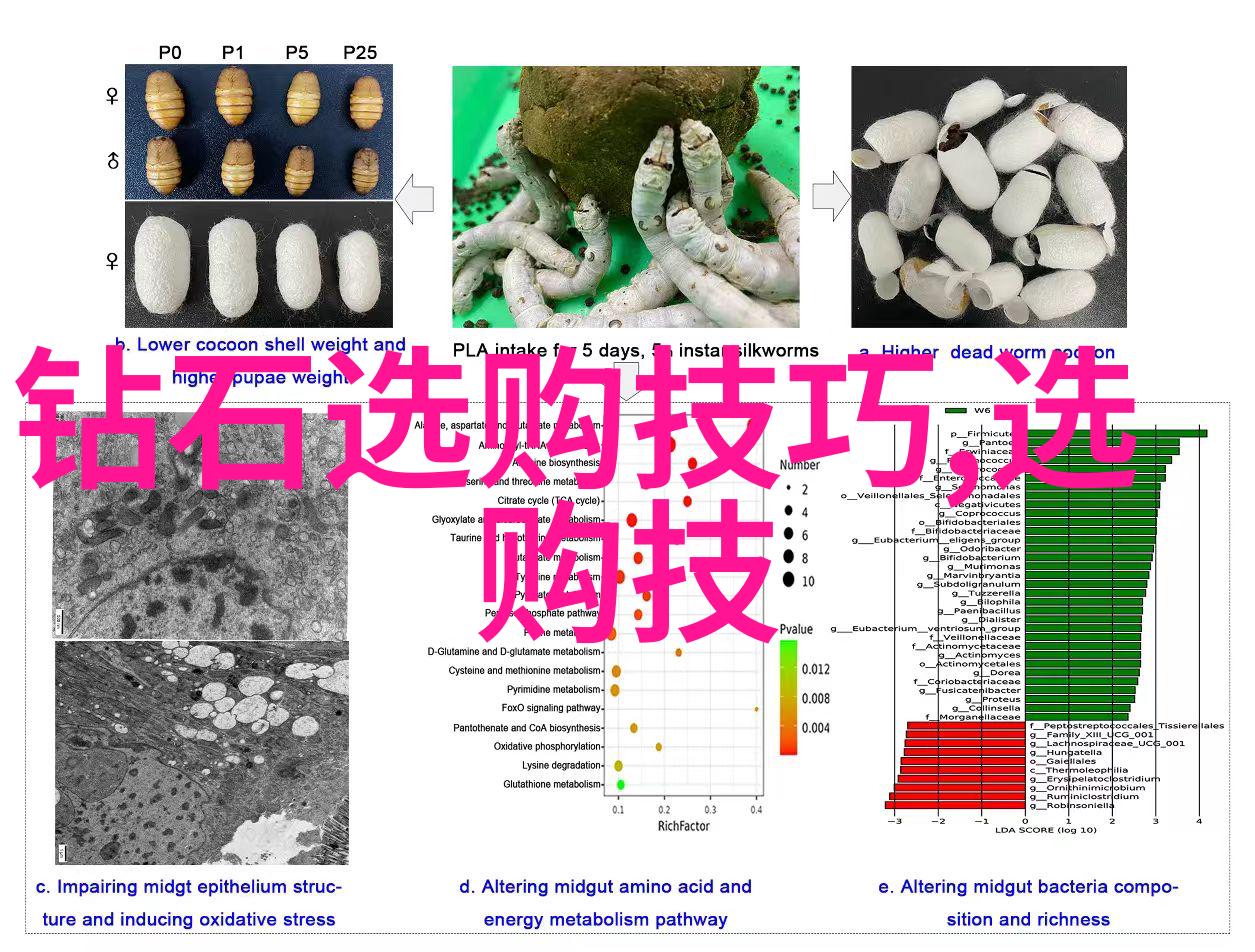 仿古玉的历史演变在社会中手工工艺品图片展示了你对玩玉知识的丰富度吗