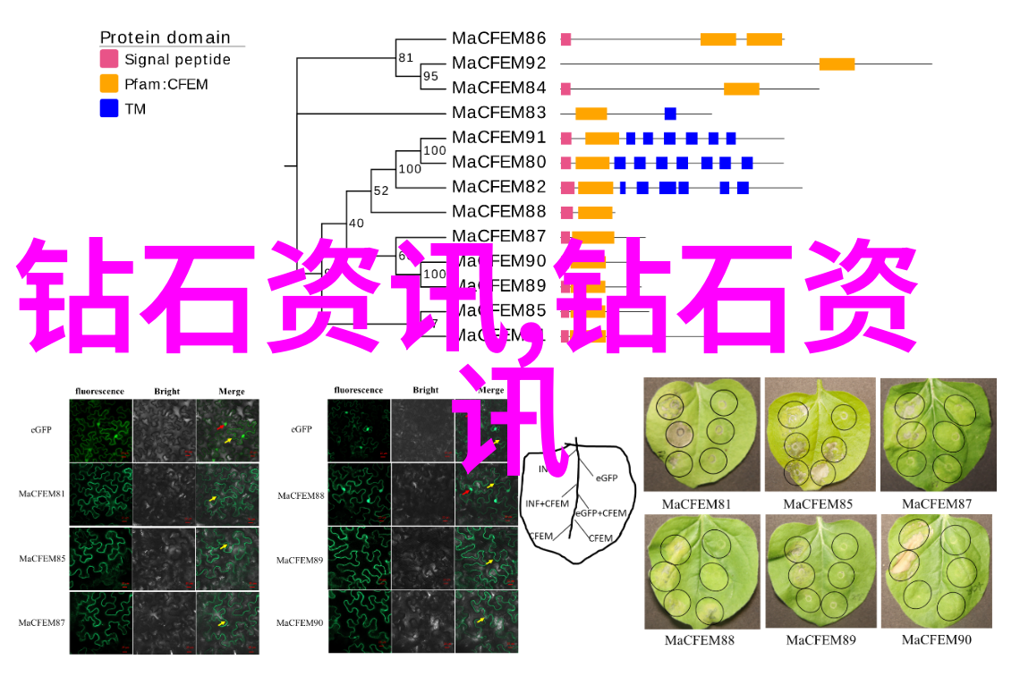 工业设计史从工匠手中的艺术到机器时代的审美革新