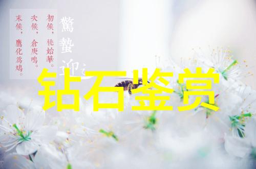 居住环境影响健康我们应该如何在家中创造良好的居住环境