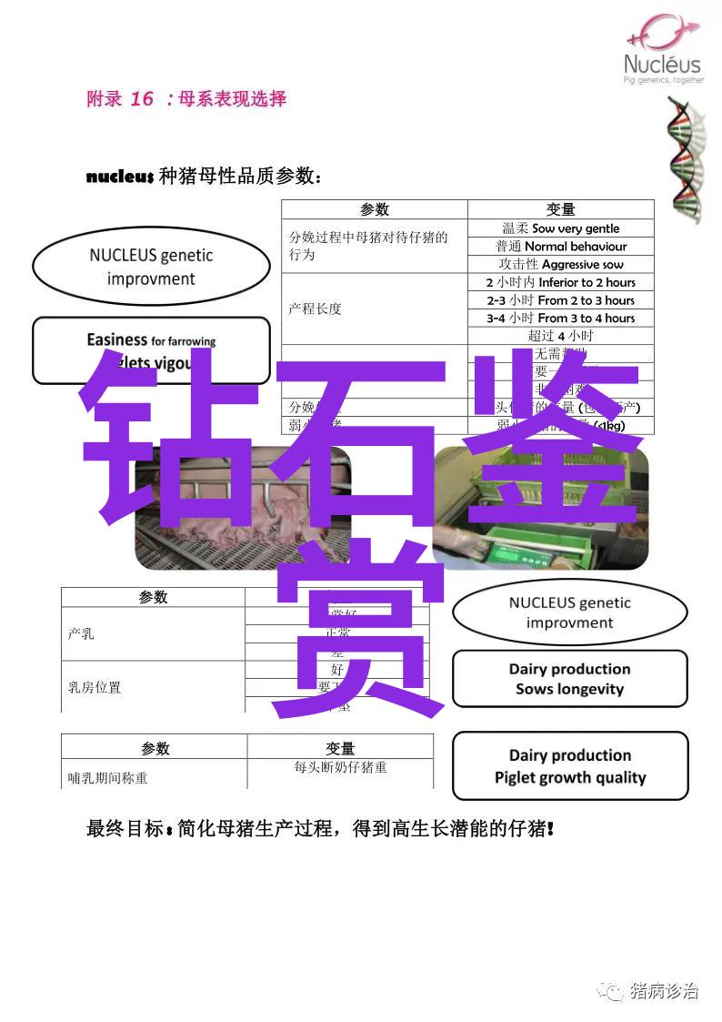 婚戒我为啥选了这枚表意深刻的金链戒指作为我们的联结符号