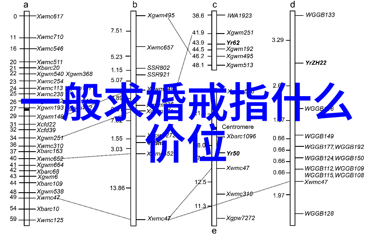 中国黄金的钻石好吗我是如何发现中国黄金钻石的秘密之美