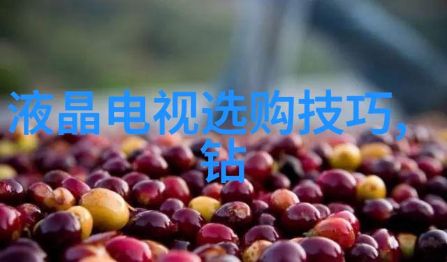 四大名著探秘中国古典文学的瑰宝