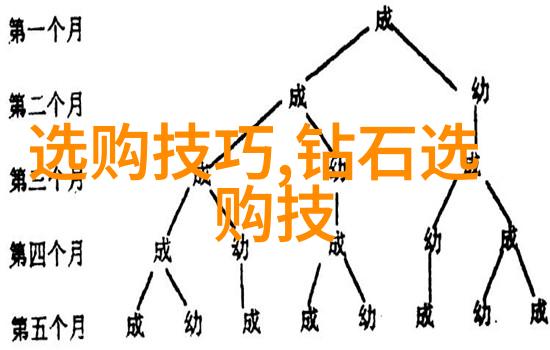 缅甸翡翠鉴定方法研究从石英矿物学到工艺技术的多维度探究