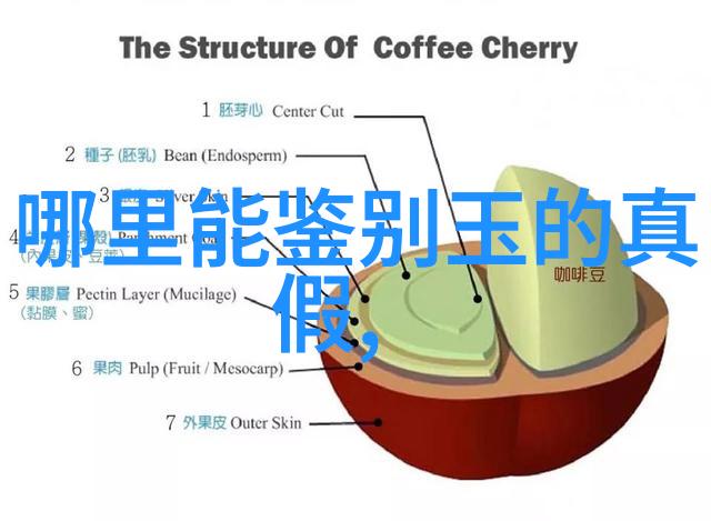 翡翠种植技巧绿玉石的养护与繁殖