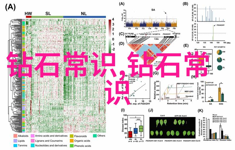 翡翠鉴定原石老手的秘诀从哪些地方看出它是宝藏