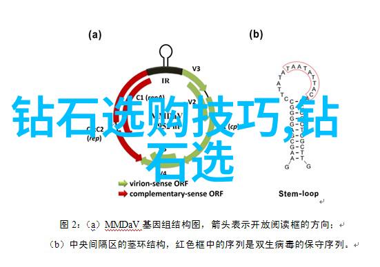 冰种翡翠原石鉴定-翡翠的秘密揭开冰种原石的魅力与价值