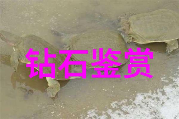 翡翠颜色大变身32种颜色等级秘密改造新玩法让你秒变翡翠高手