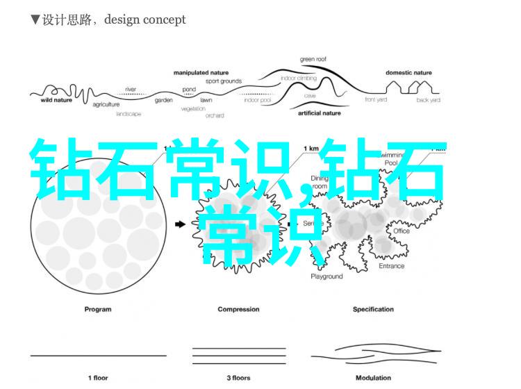 学前教育专业我是小朋友的第一个老师如何在幼儿园中培养孩子们的好奇心