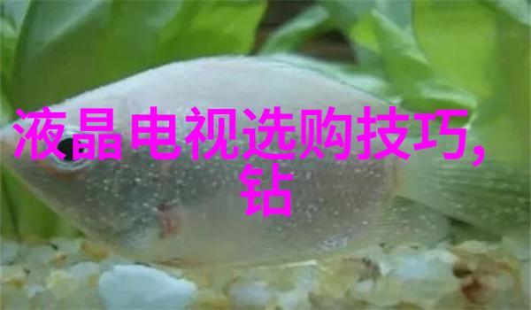 真假翡翠鉴定方法精确识别自然与人造翡翠的技巧