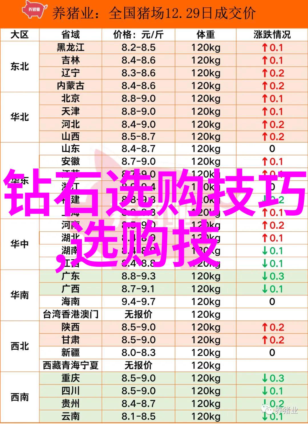 宝石的荣耀璀璨世界之光