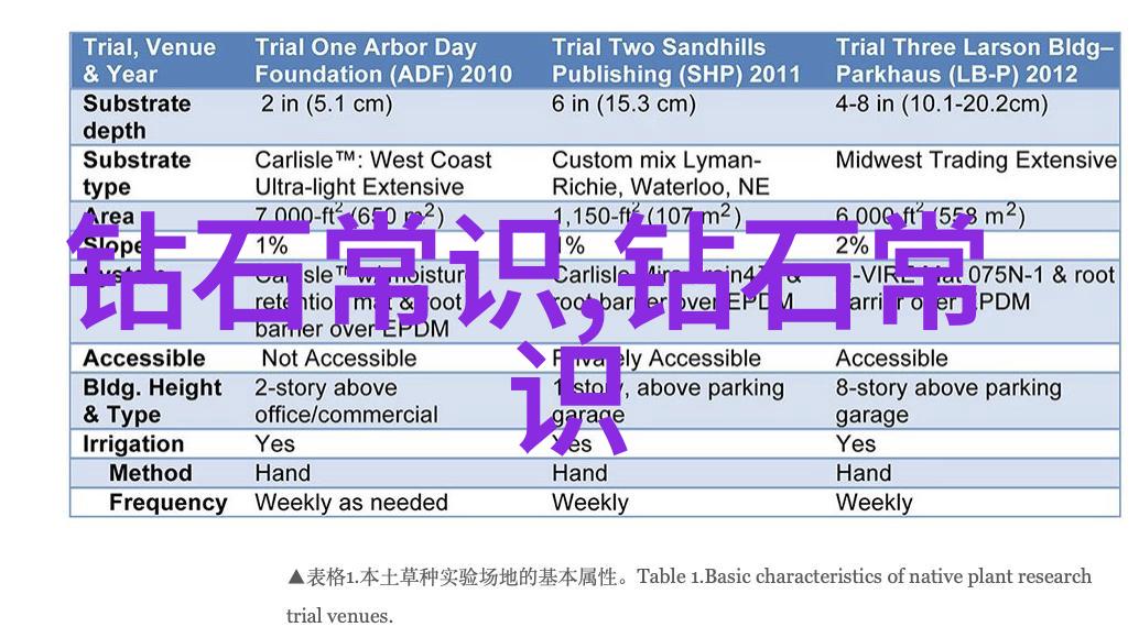 翡翠改造雕刻完美但不满意能否重铸探秘玉文化新奇玩法