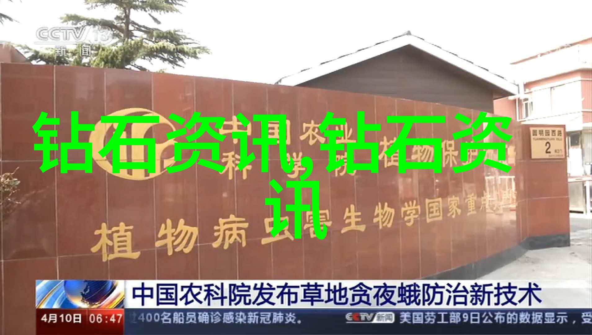 翡翠宝石的真伪鉴定一门艺术与科学的结合