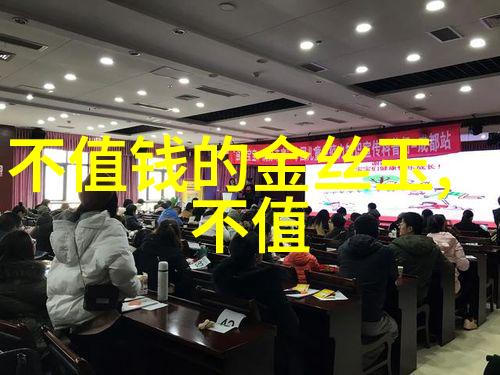 翡翠鉴定艺术揭秘冰种翡翠的价值评估