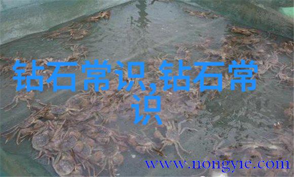 皇上香浓揭秘夹心饼干的3pH之谜