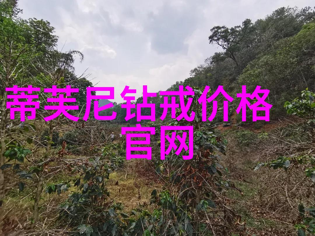 宝石学-十大不值钱宝石揭秘那些并不耀眼的珍稀