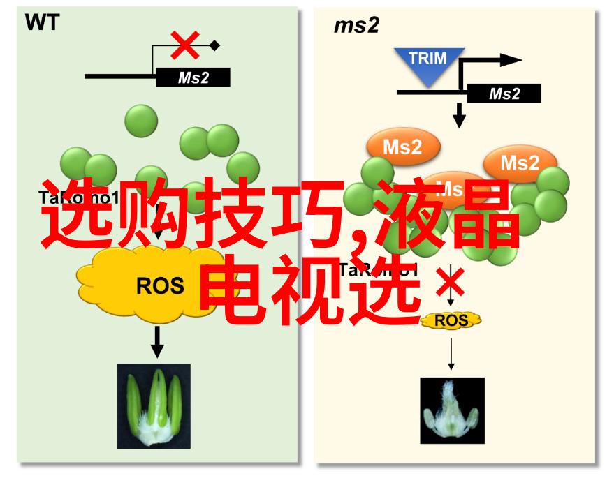 玉石最基本的辨别技巧玉石鉴定入门