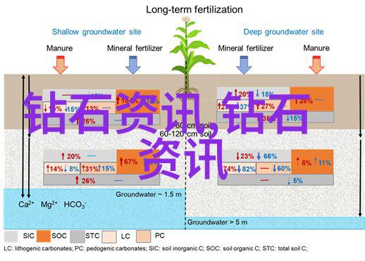 全球璀璨探索历史上最耀眼的八颗钻石秘密