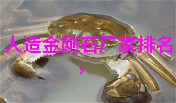 我的故事金珍珠的秘密