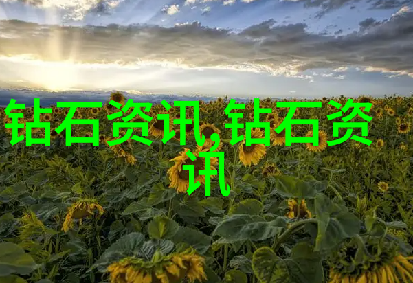 花房姑娘免费观看全集追忆那些温柔的笑容