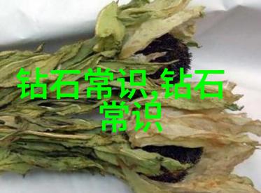 和田玉墨玉的鉴别犹如国内好的珠宝设计培训班中精湛技艺的展现每一道工序都需细致入微方能区分真伪