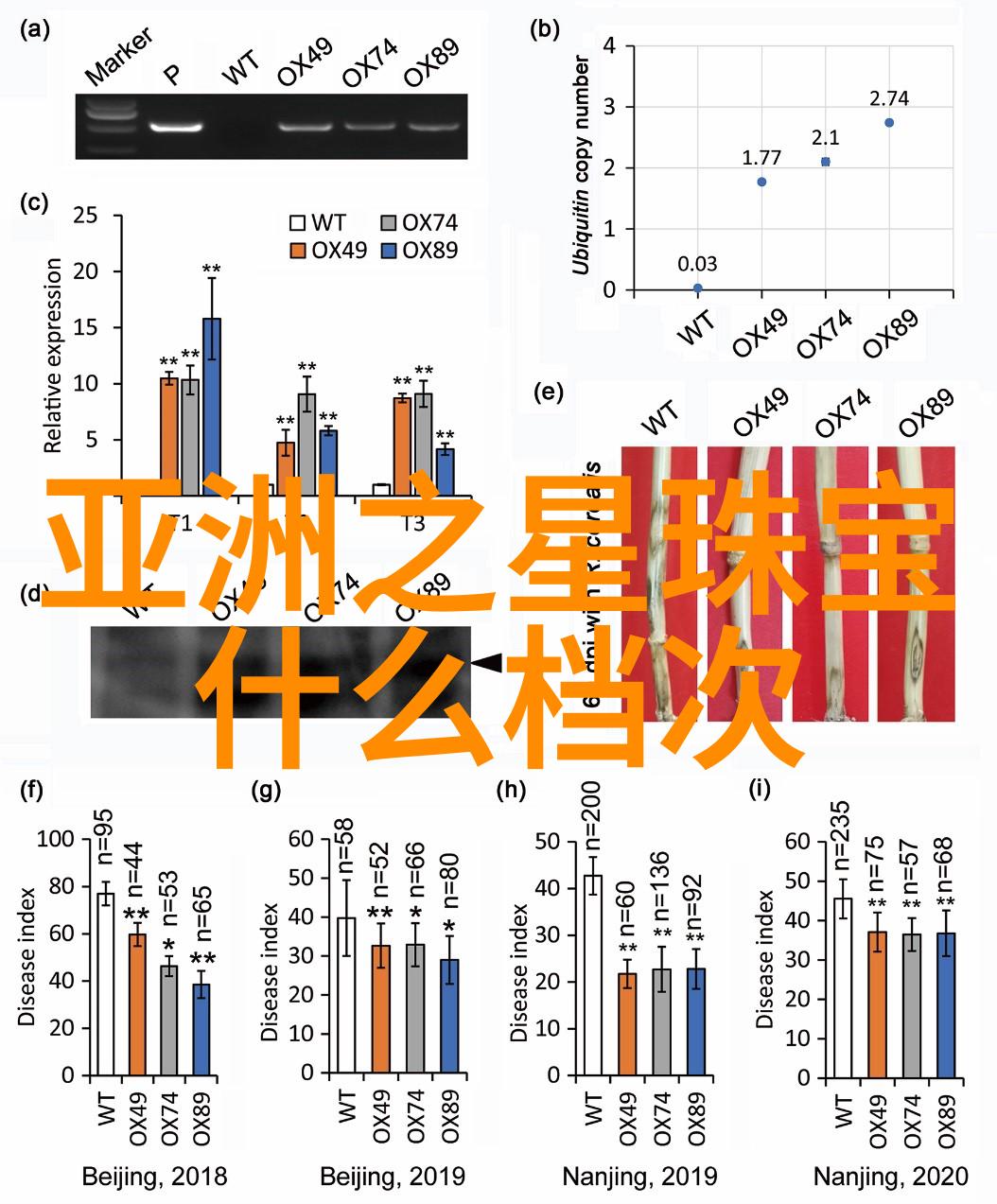 世界最著名的钻石 - 神秘的奥地利皇冠揭秘科罗纳钻石的传奇故事