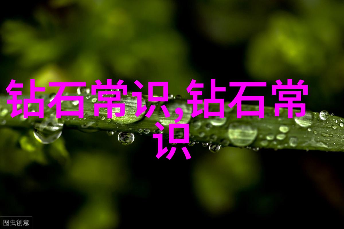 对于年轻一代来说学习和理解人民日报文化金句又该怎样开始