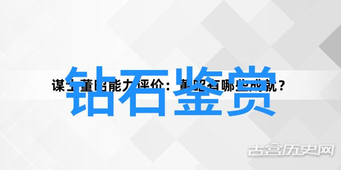 世界杯冠军之争前十强国家的足球梦想与荣耀