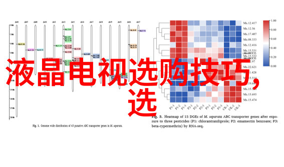 骄阳似我txt新浪夏日时尚网红社群的热门博主