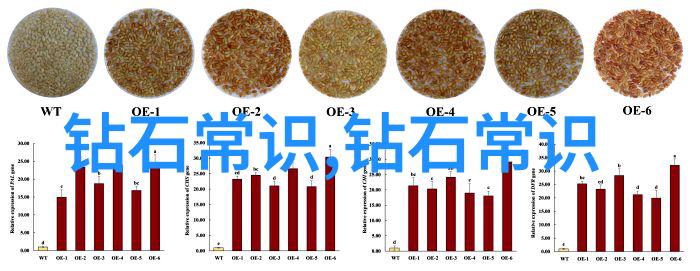 数据驱动石英岩玉佩戴风险探究