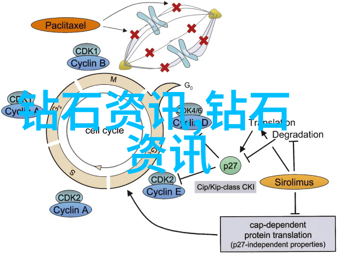 学动画探索梦想的世界掌握创意的火炬