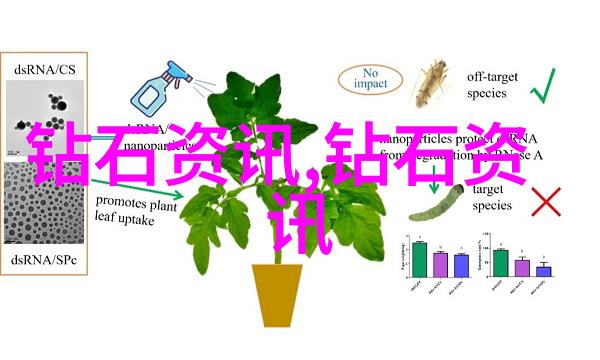 2021年全球证券巨头揭秘十大公司的强势表现与市场策略