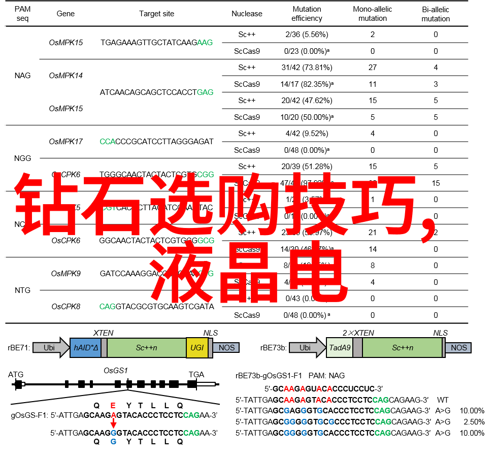 芙蓉帐内鸾凤颠探秘古代宫廷生活的隐秘篇章