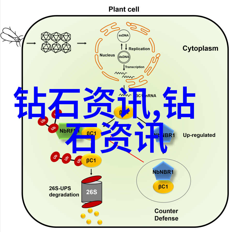 璀璨光芒探索世界排名第一的珠宝设计学院