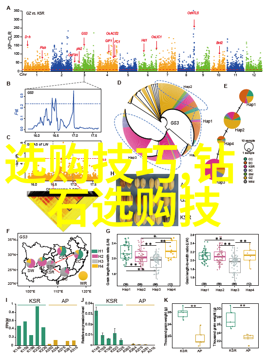 英语老师的逆袭从被抄到掌课