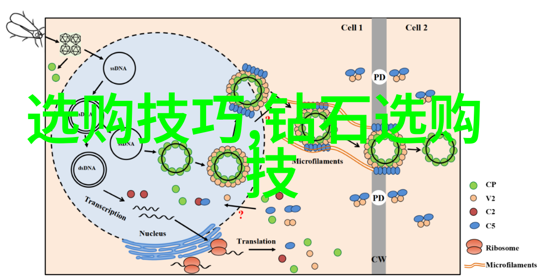 哪种金属在世界上的珠宝制作中使用得最多