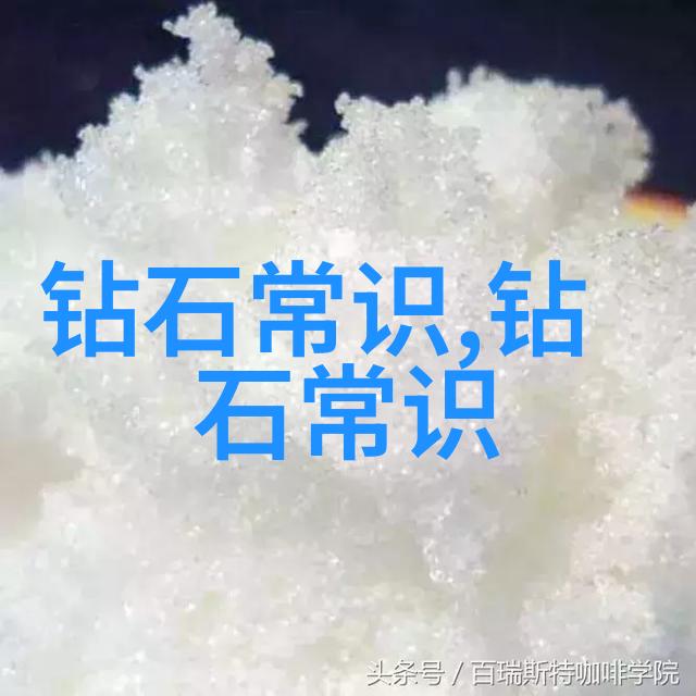 绘就专业之美追寻卓越的艺术探索