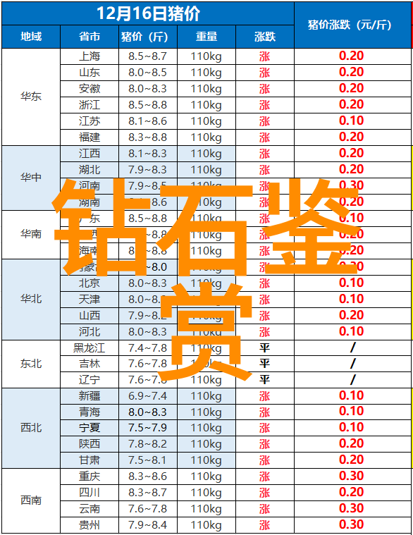 工程设计专业-精准规划未来工程设计专业的创新与实践