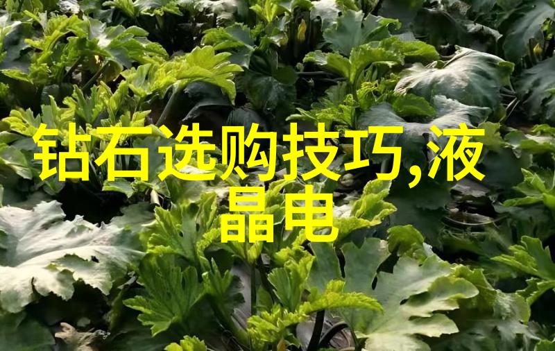 神秘财富卡的启示与挑战